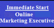 Online Marketing Executive